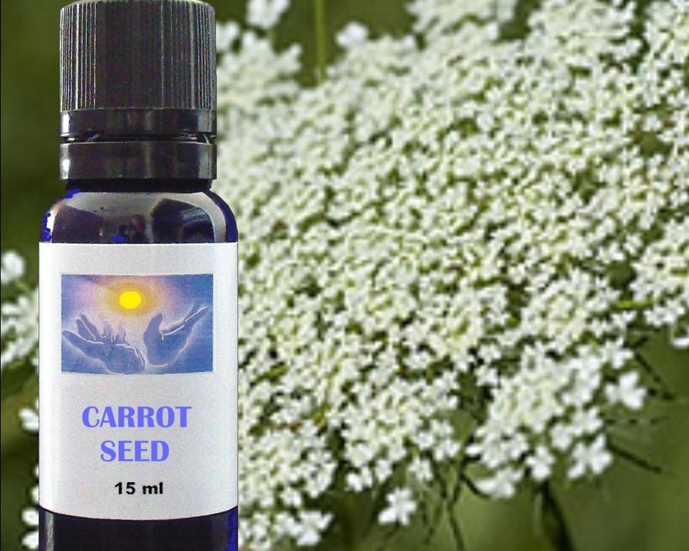 Carrot Seed essential oil