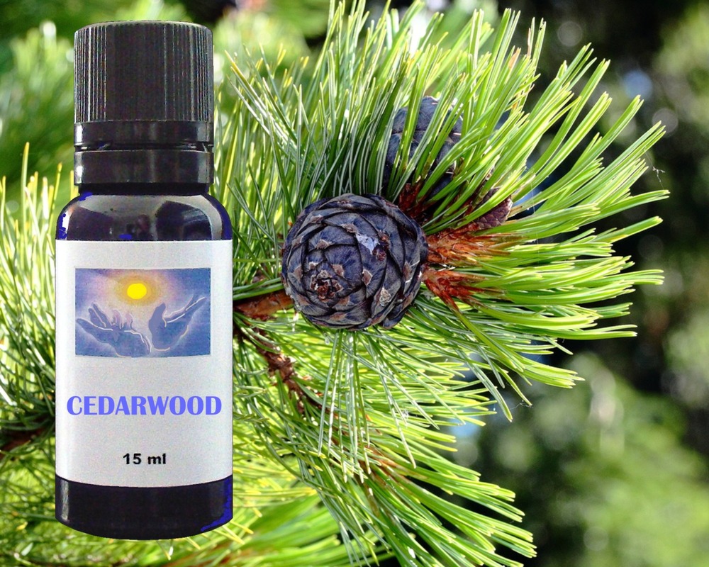 Cedarwood essential oil