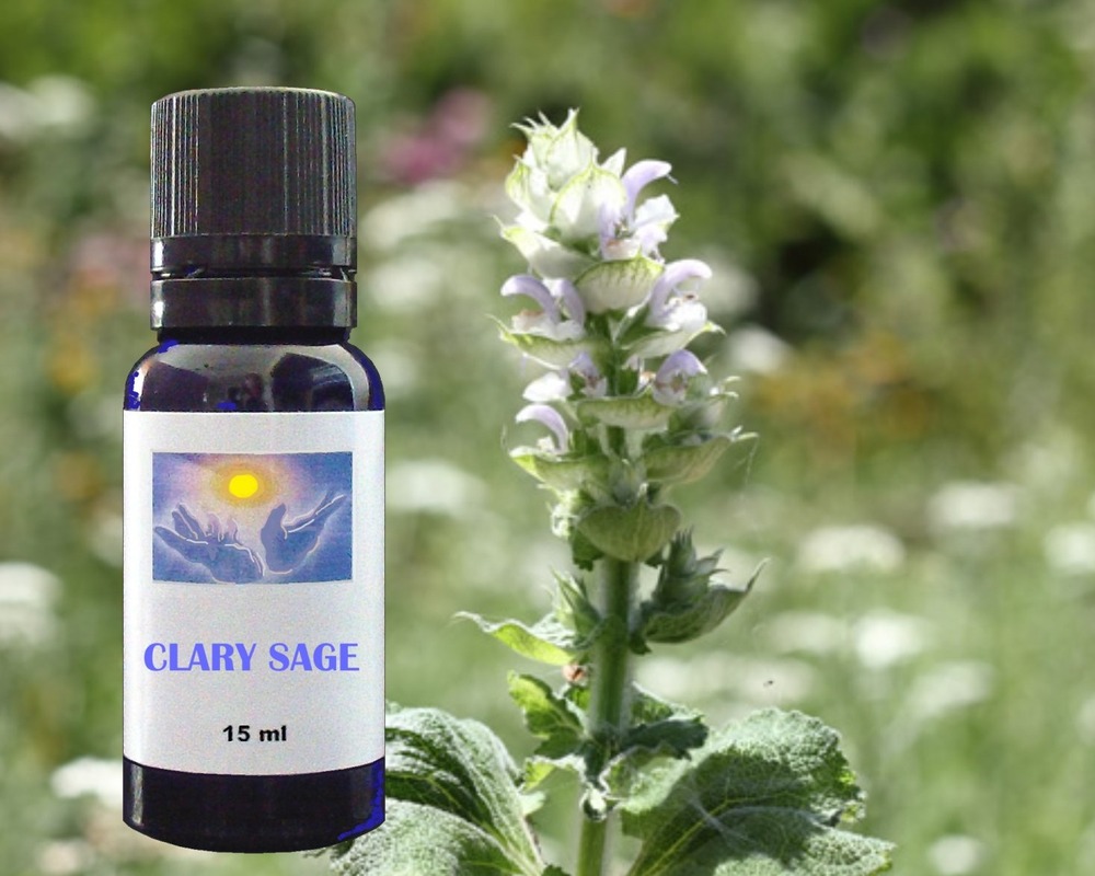 Clary Sage essential oil