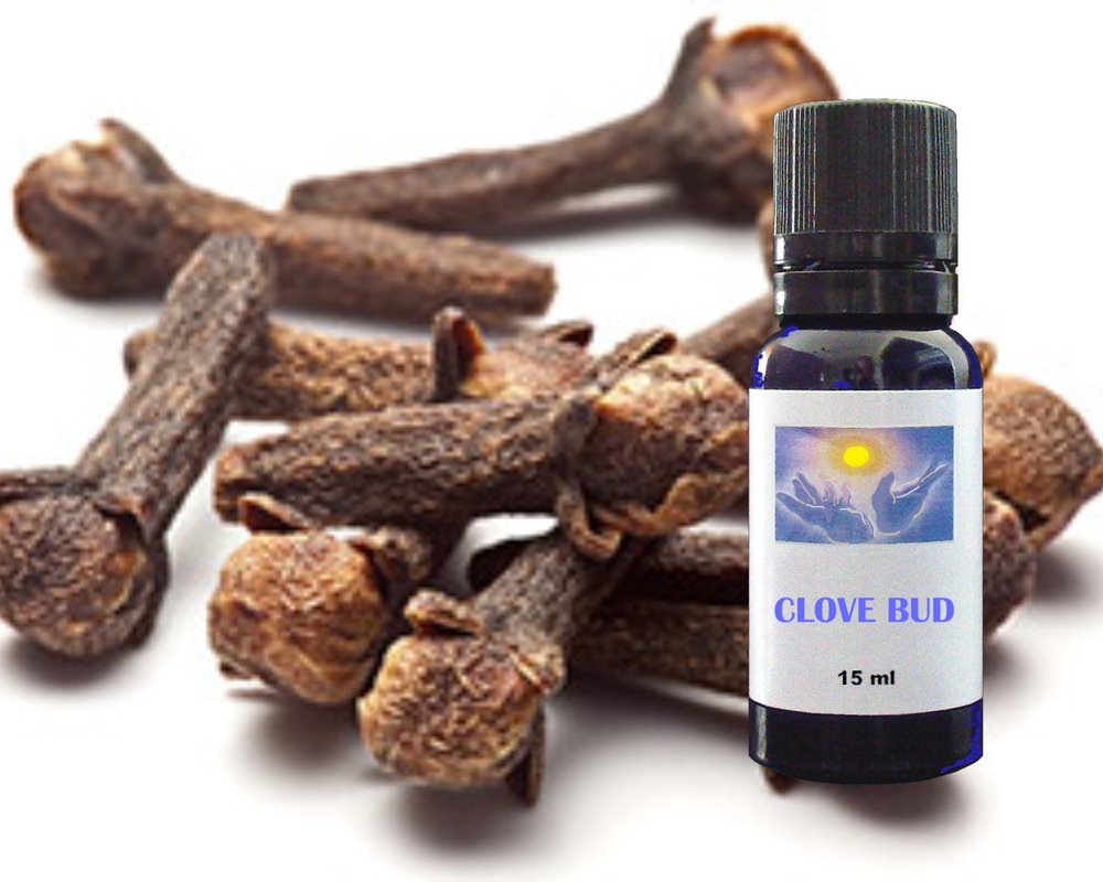 Clove Bud essential oil