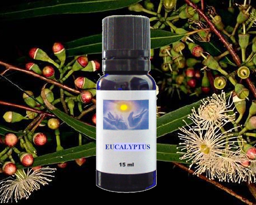 Eucalyptus essential oil