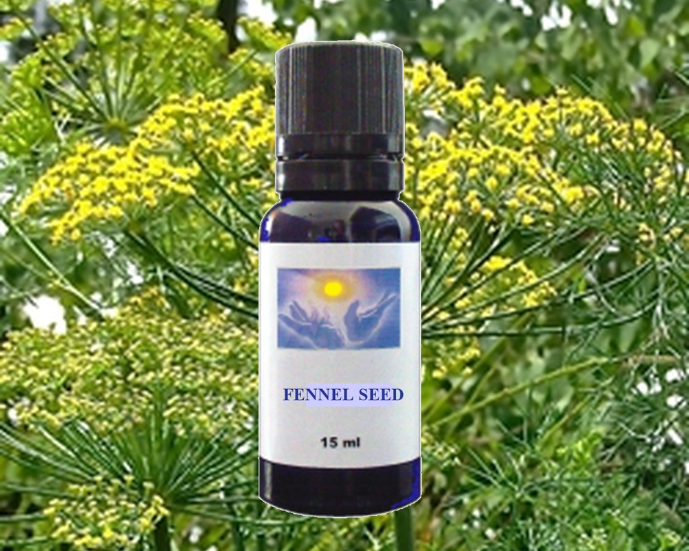 Fennel Seed essential oil
