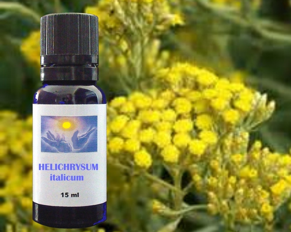 Helichrysum essential oil