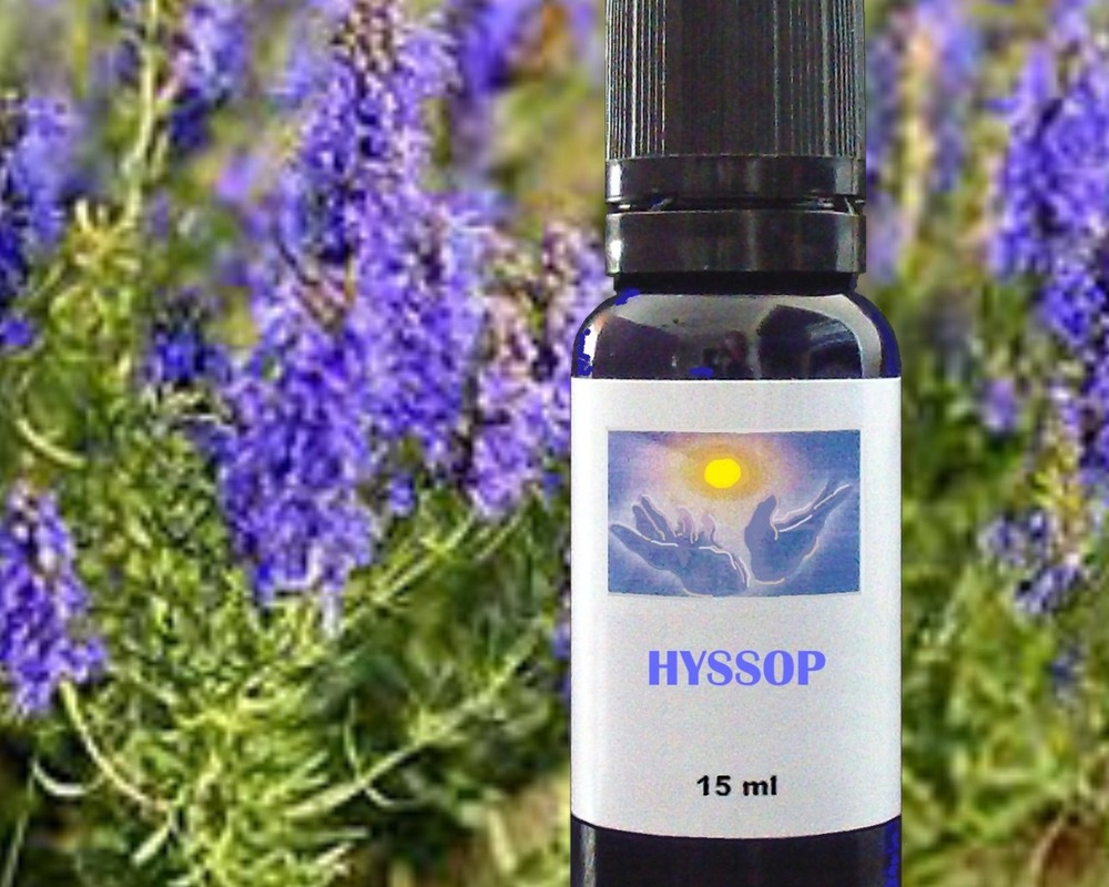 Hyssop essential oil