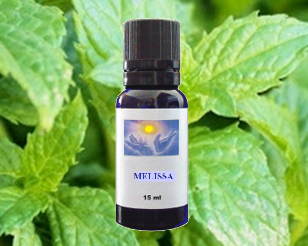 Melissa essential oil