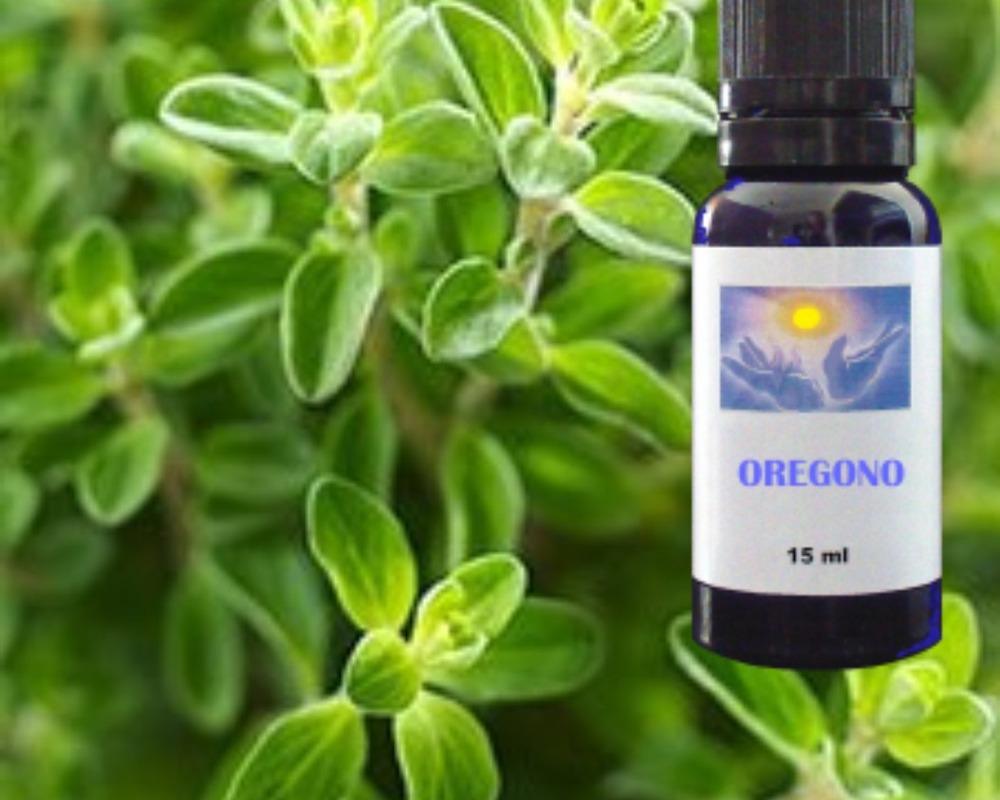 Oregano essential oil