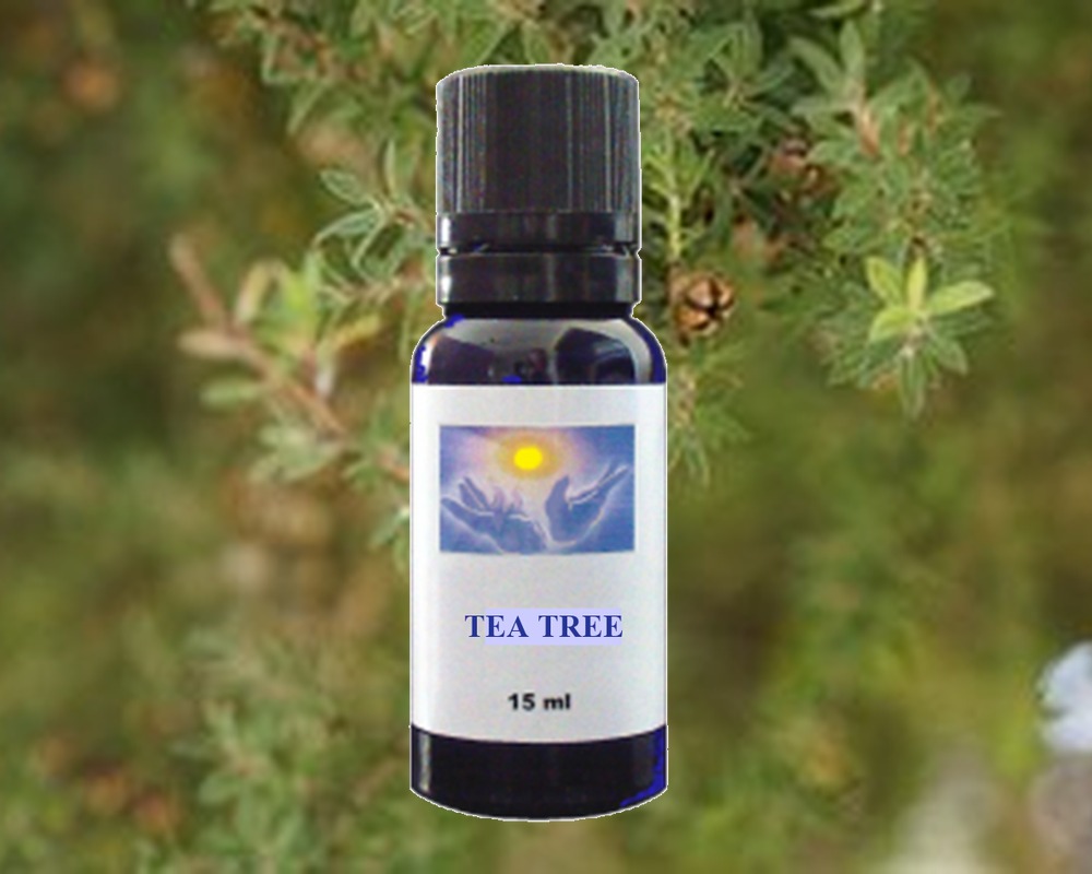 Tea Tree essential oil