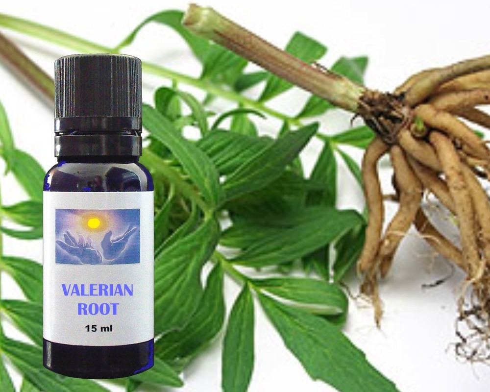 Valerian essential oil